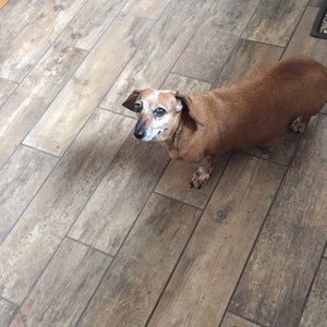 Meet your Posher, Christy